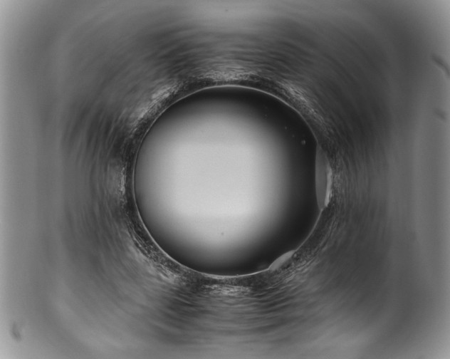 X0000100880539200806201248