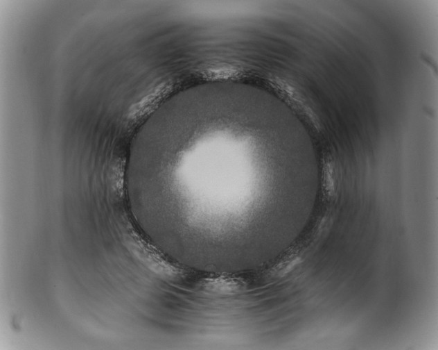 X0000100880545200806201248