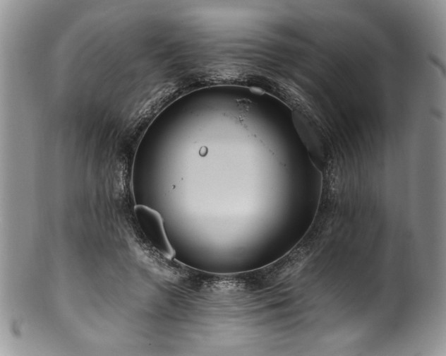 X0000100880546200806201249