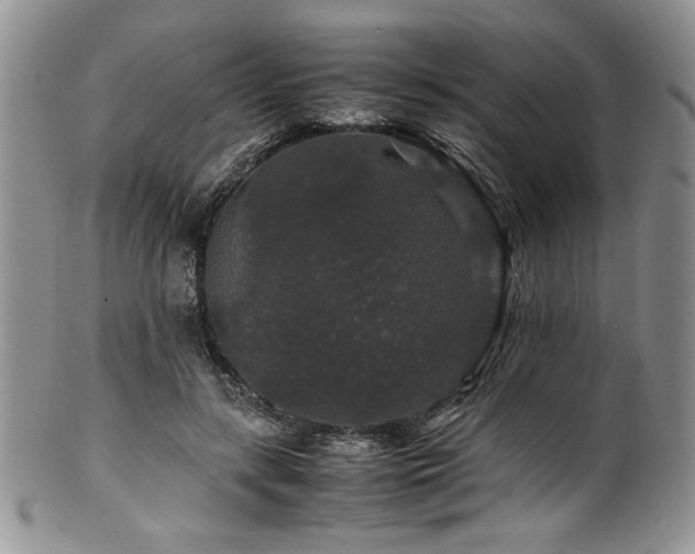 X0000100880547200806201249