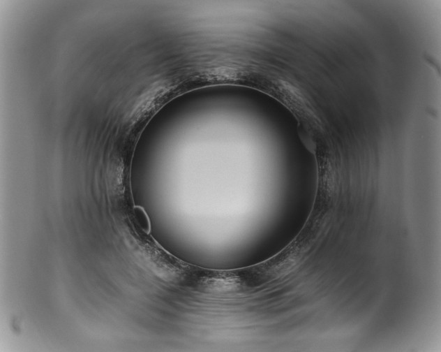 X0000100880548200806201249