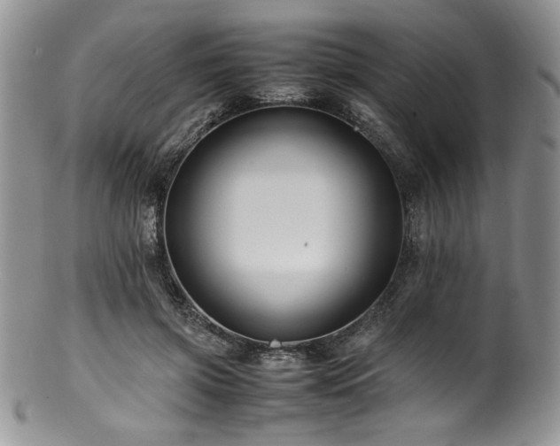 X0000100880549200806201249