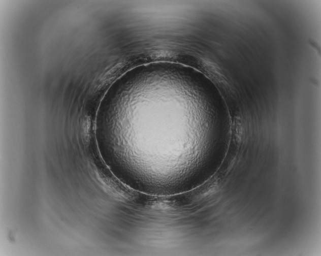 X0000100880550200806201249