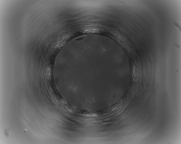 X0000100880551200806201249