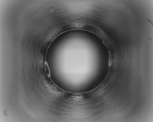 X0000100880552200806201249