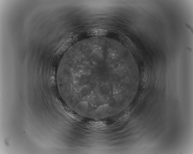 X0000100880553200806201249