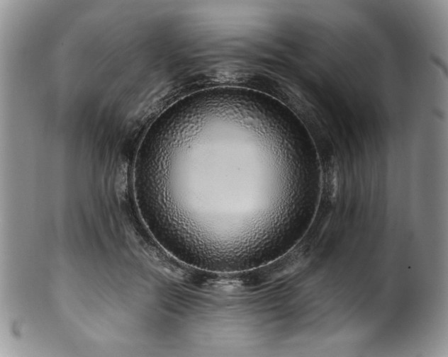 X0000100880554200806201249