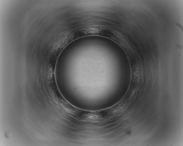 X0000100880555200806201249