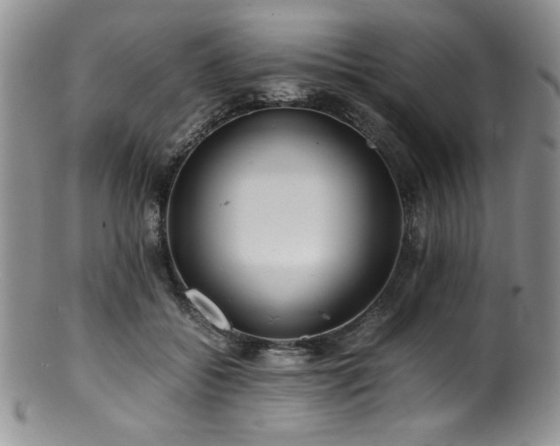 X0000100880556200806201249