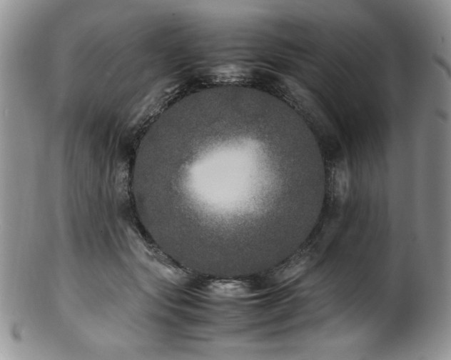 X0000100880557200806201249