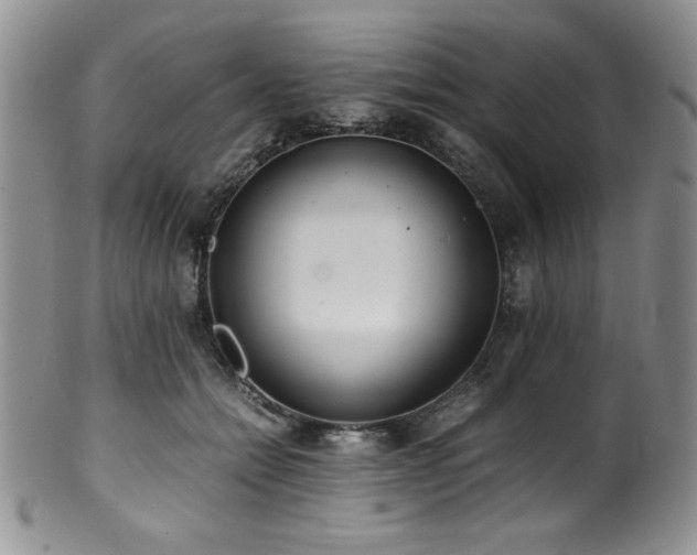 X0000100880558200806201249