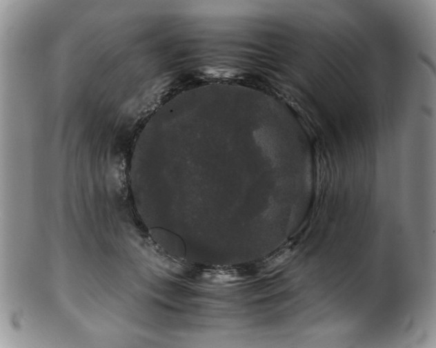 X0000100880559200806201249