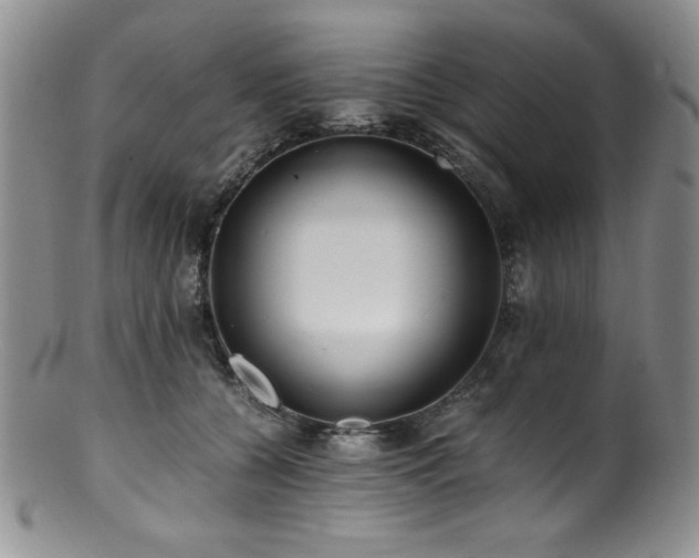 X0000100880560200806201249