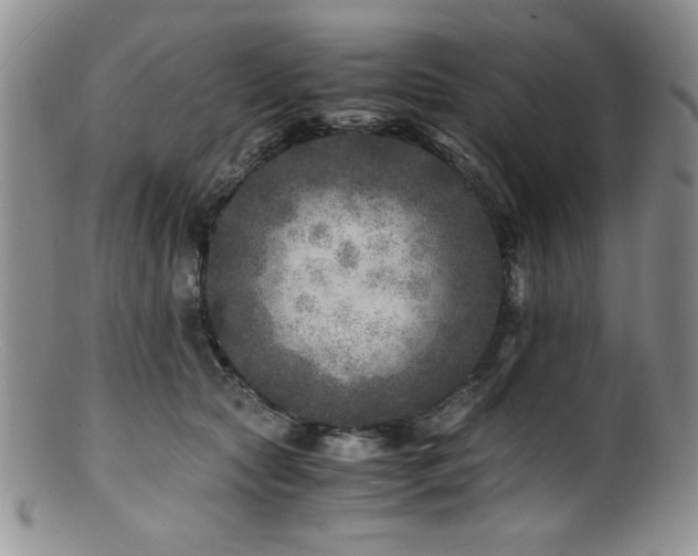 X0000100880561200806201249