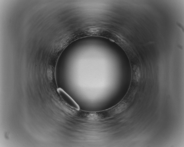 X0000100880562200806201249