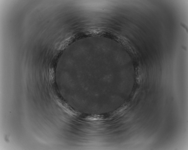 X0000100880563200806201249