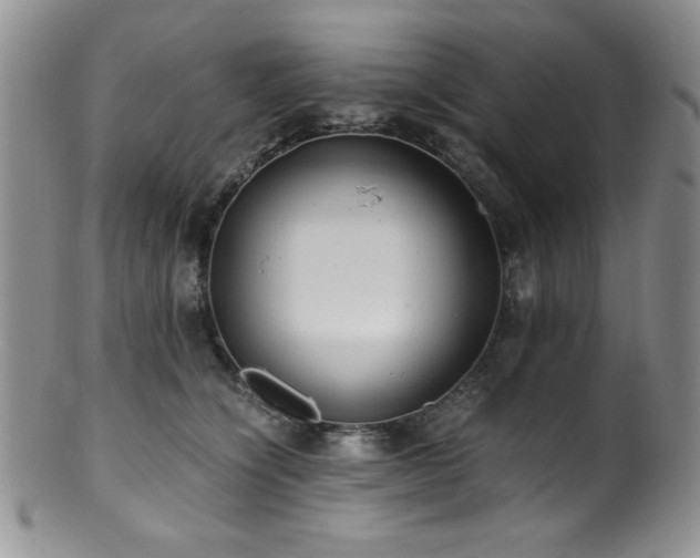 X0000100880564200806201249