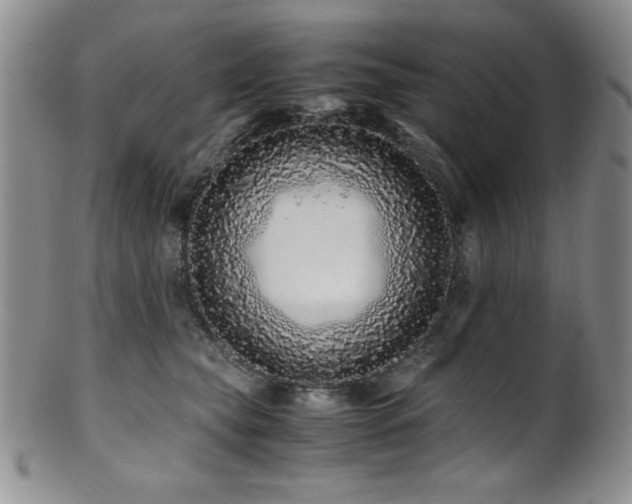 X0000100880565200806201249