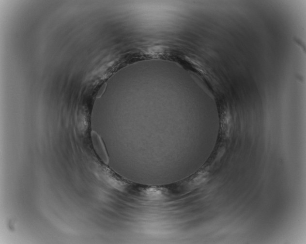 X0000100880566200806201249