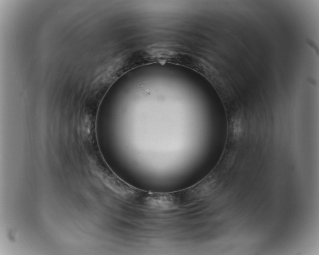 X0000100880567200806201249