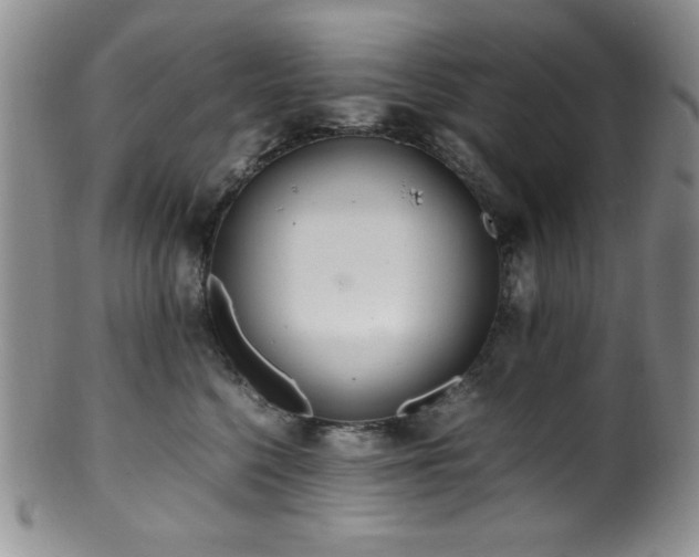 X0000100880568200806201249