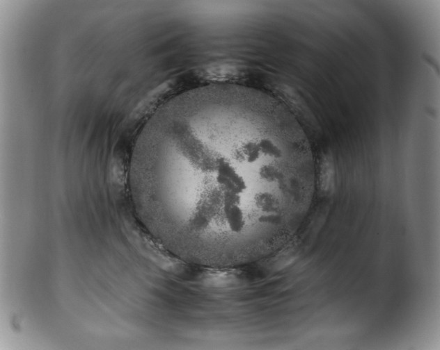 X0000100880569200806201249