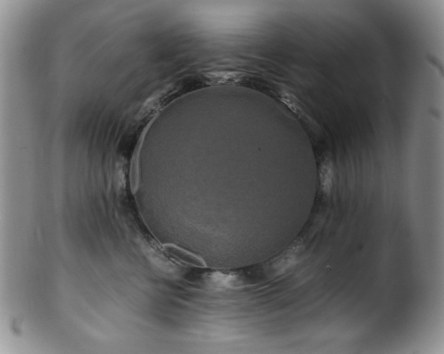 X0000100880570200806201249