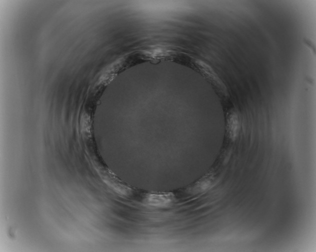 X0000100880571200806201249