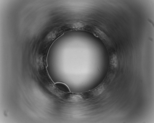 X0000100880572200806201249