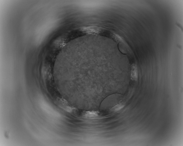 X0000100880573200806201249