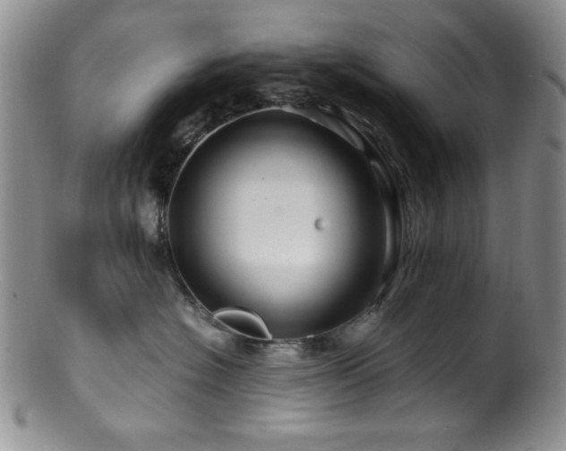 X0000100880574200806201249