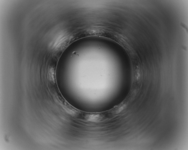 X0000100880575200806201249