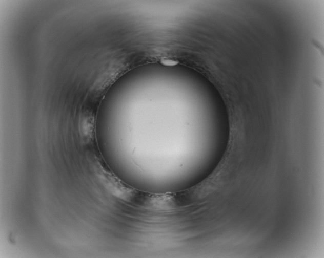 X0000100880576200806201249