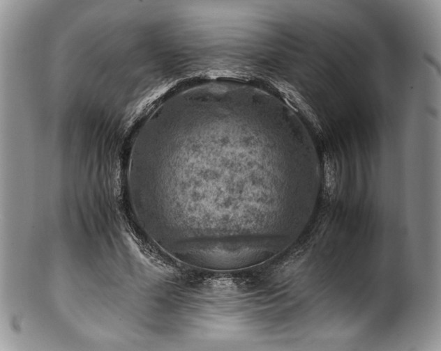 X0000100880588200806201248