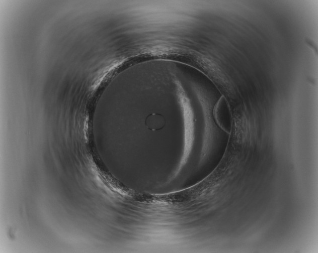 X0000100880592200806201248