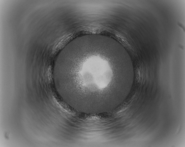 X0000100880594200806201248