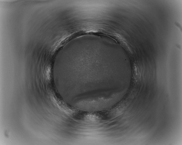 X0000100880596200806201248