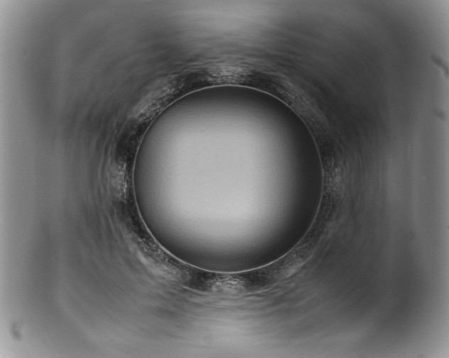 X0000100880599200806201248