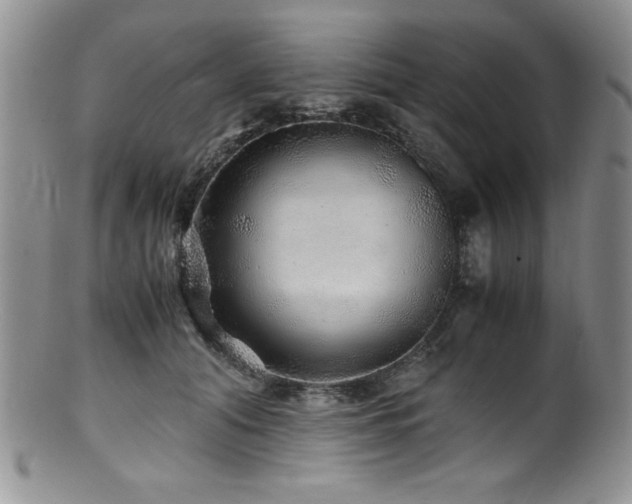 X0000100880608200806201248