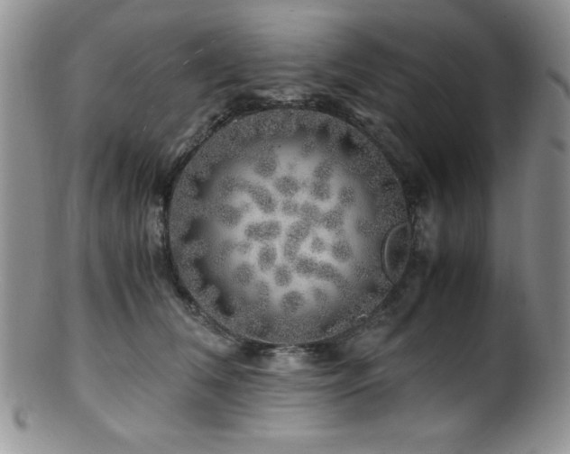 X0000100880612200806201248