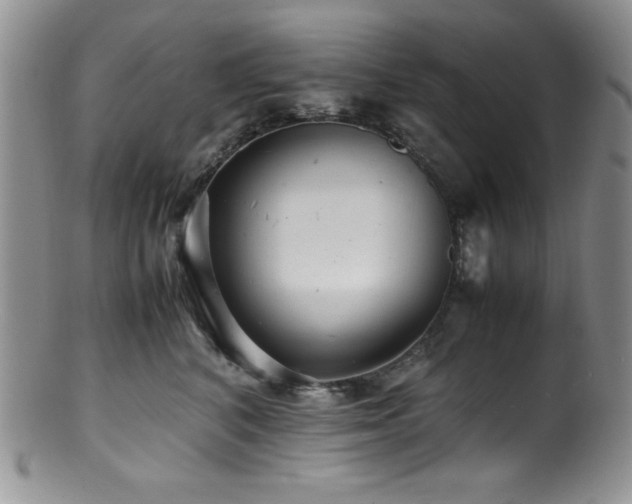 X0000100880616200806201248