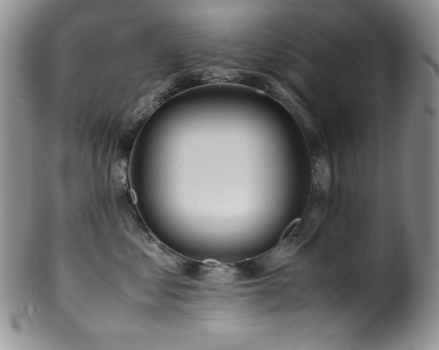 X0000100880621200806201248