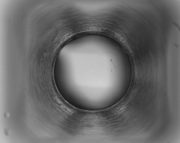 X0000100880625200806201247