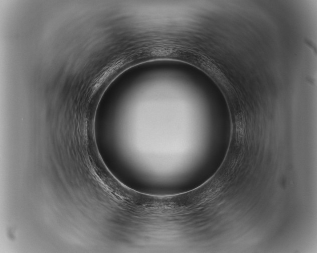 X0000100880626200806201247