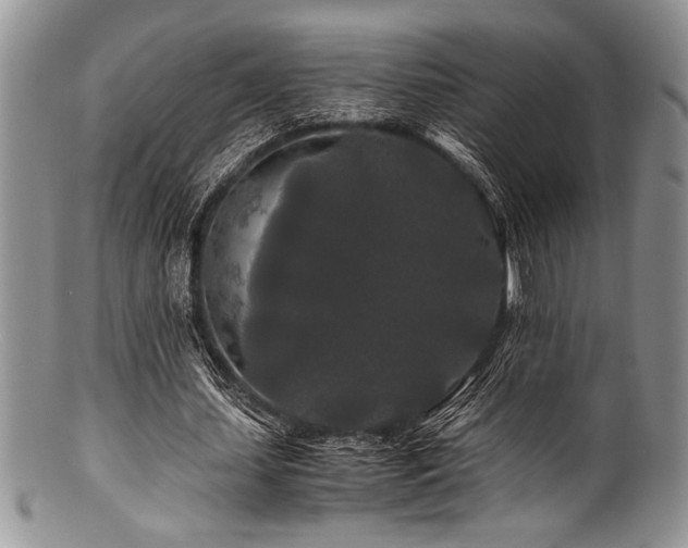 X0000100880627200806201247