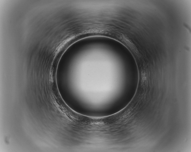 X0000100880628200806201247