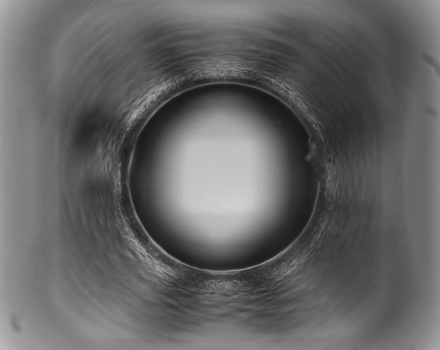 X0000100880629200806201247