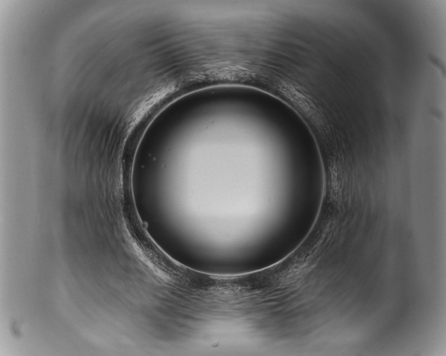 X0000100880630200806201247