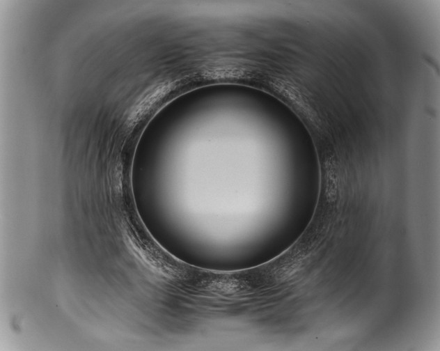 X0000100880631200806201247