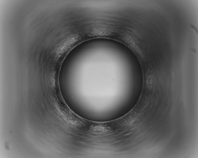 X0000100880635200806201247